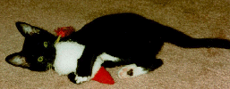 Blighter being his evil self