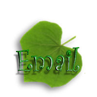 email link