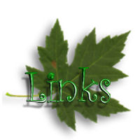 link back to this page