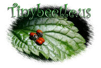 Tinybeetle logo and link back to homepage