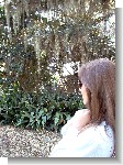 Looking at garden