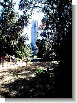 Bok Tower Gardens