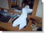 Towel art