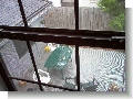 Patio from master bedroom window