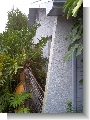 North side of house, propane tank