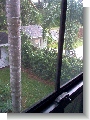 From upstairs - can see neighbor's yard